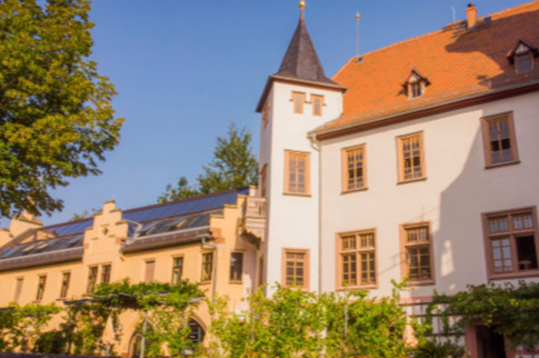 Luftaufnahme von Schloss Wolfersdorf mit Teich und Kurfürstenbrücke